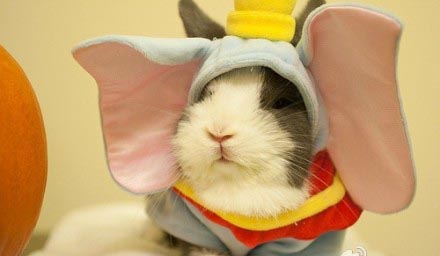 我的新头饰，好看不。。。