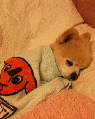 睡的好舒服啊。。。