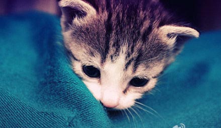 有点淡淡的忧桑。。。