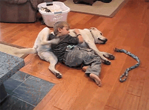 你给哥挠挠，哥给你挠挠