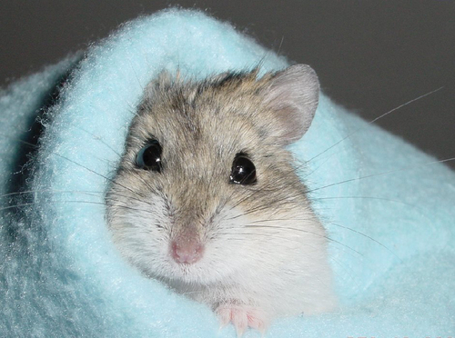 刚洗完澡，很舒服呢。。。