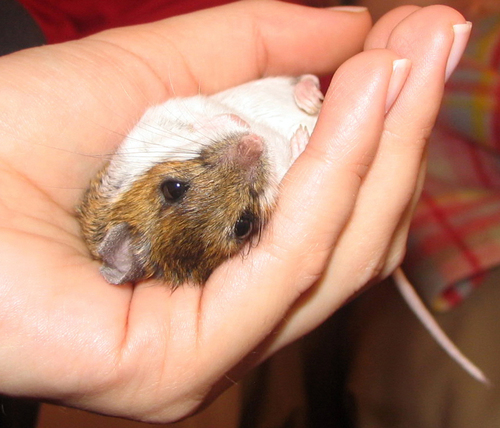 主人真好，好舒服的。。。