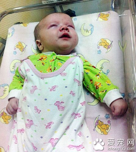  猫咪用身体温暖挽救了男婴的生命，获赞“英雄猫”