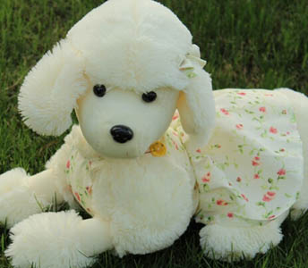 狗狗基础训练 四种基础训练技巧