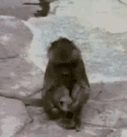 我靠，这么帅！