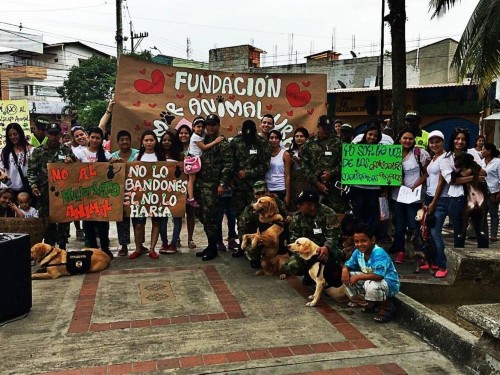 哥伦比亚士兵领军犬上街卖萌