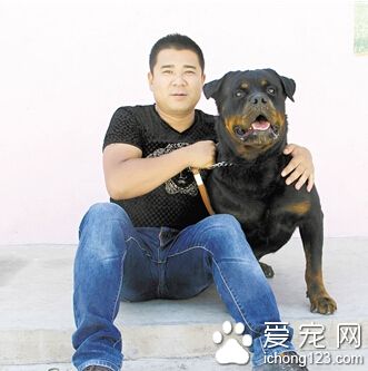 罗威纳犬从舍里挣脱出来 成功救下主人把小偷赶走