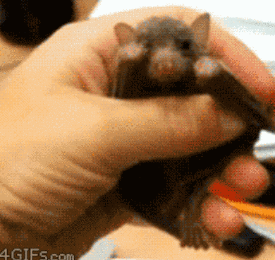 把人家叫醒有什么事么