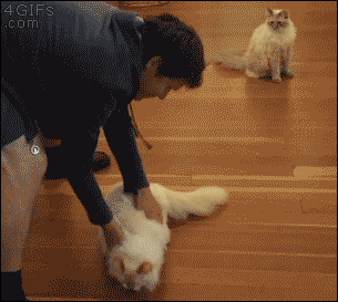 你旁边的小伙伴一脸嫌弃你造吗