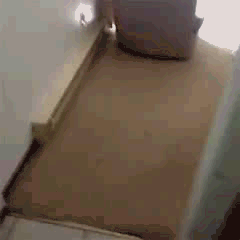 我好像有了种独特的召唤技