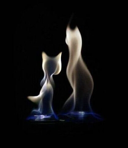 好牛逼的火焰，都能看出来是什么动物吧