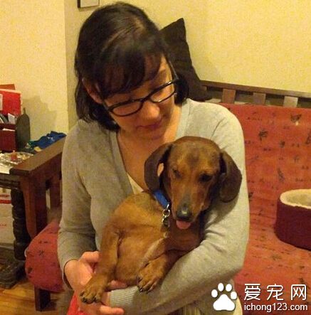腊肠犬深情拥抱救命恩人的照片感动了人类