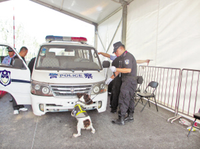 威武的德国牧羊犬“敬业的”跟着巡警出街巡逻 