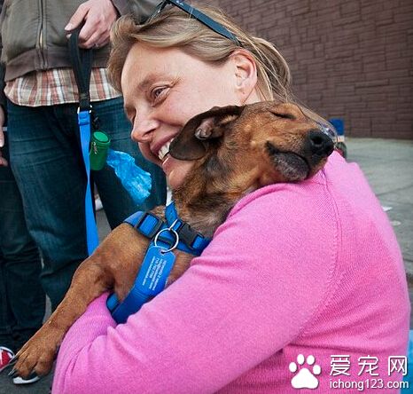 腊肠犬深情拥抱救命恩人的照片感动了人类