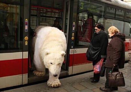 “要赶去动物园上班，好忙好忙啊~