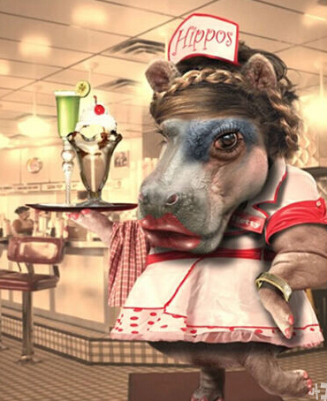 动物都被玩坏了