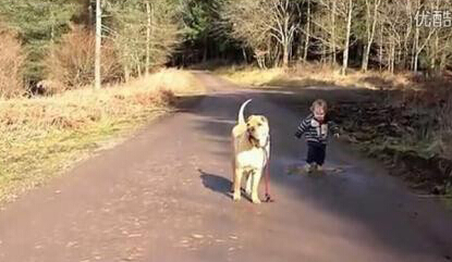 宝宝遛狗 史上最温馨的遛狗场面