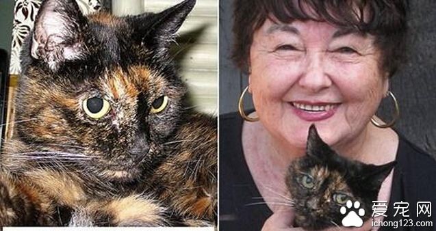世界最老猫咪庆祝27岁生日 算起来125岁了