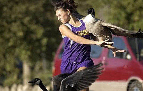 动物袭击人类的搞笑瞬间