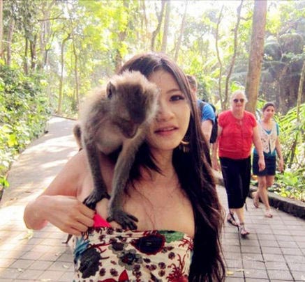 动物袭击人类的搞笑瞬间