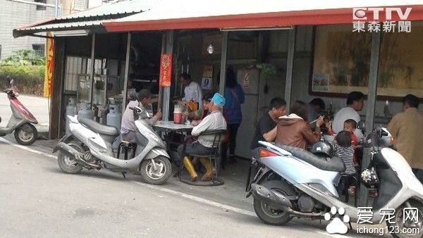 吉娃娃苦等主人3天 12夜安乐死倒数前终获救