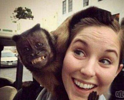 来，看镜头，茄子