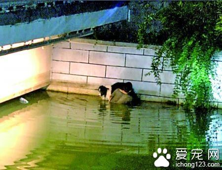 南川半溪河，男子托着爱犬等待救援