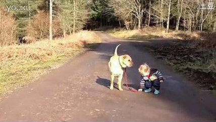 宝宝遛狗 史上最温馨的遛狗场面