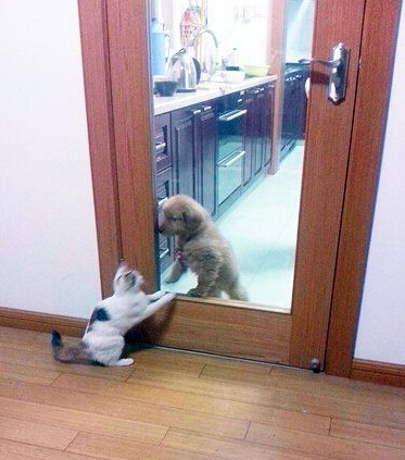 有本事你来打我呀！