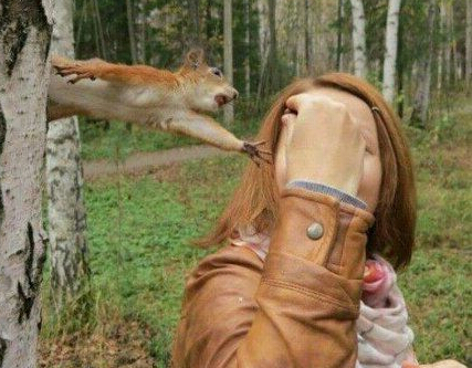 来，给我，给我！那是我的