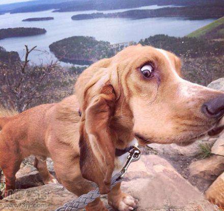 主人你要干嘛我恐高啊 我要回家快送我回家