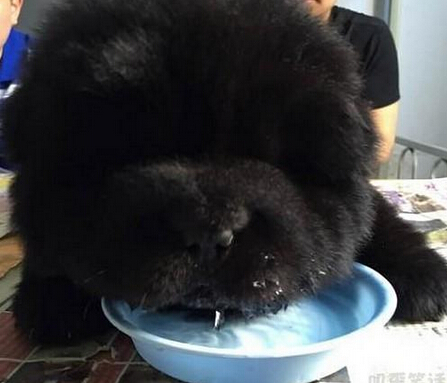 终于吃完了，先睡一觉 你的眼睛都看不到了