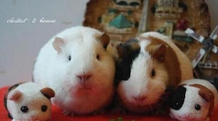 全家福给我们照好看点哦 感觉有点不对劲