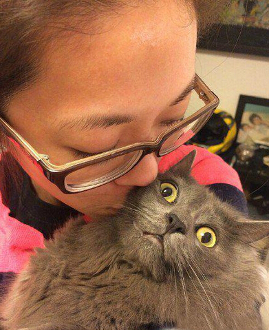 没有一点点防备就被强吻了 二货主人我爱的是喵不是你