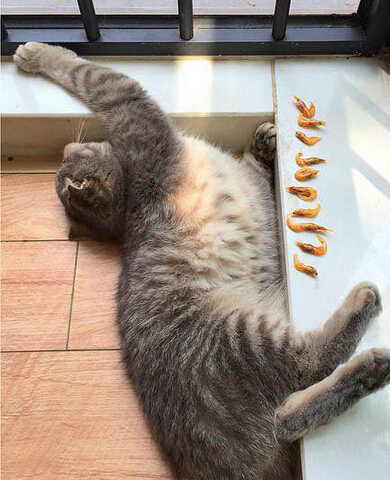 一觉睡好之后的惊喜