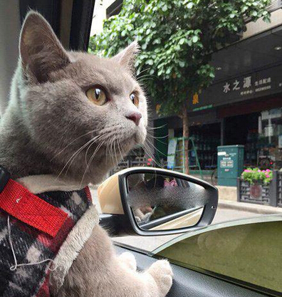 世界这么大想出去走走