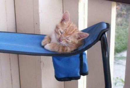 睡得很舒服嘛 好几天都没合眼了