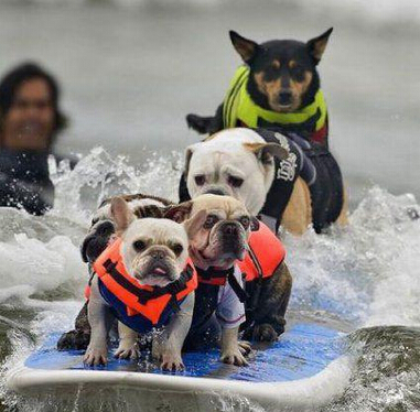 冲啊快到终点了 咱们一定会得第一的