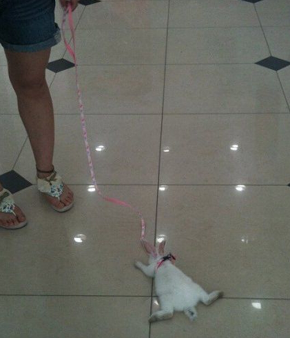 一场说不走就不走的旅行