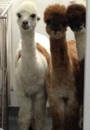 偷拍有危险。再拍我咬你