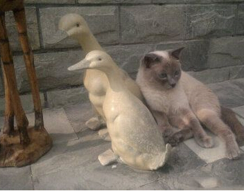 兄弟，别动，靠一会