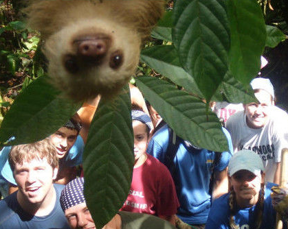 专注抢镜的动物们~~~ 个个都是心机婊