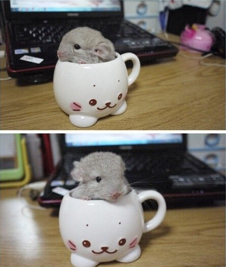 没人找我啊，不理你了麻麻