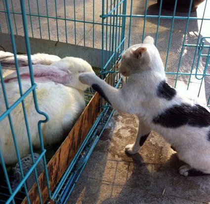 你好，交个朋友吧！