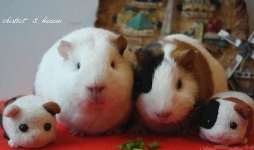 全家福给我们照好看点哦