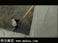 吃货为了食物真是拼了！