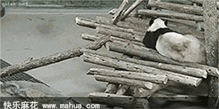 哎哟，是谁啊！