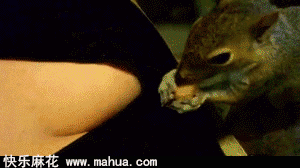 你也太会找地方藏了！