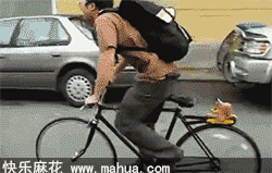 宠物自行车，太有创意了！