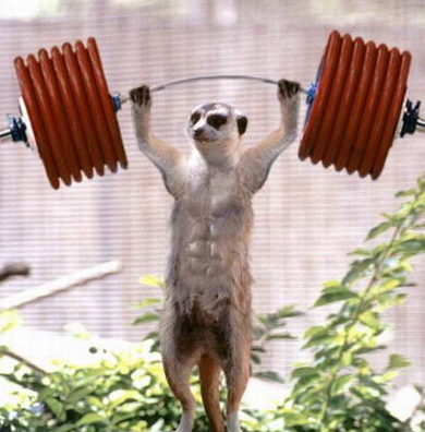 这个情景让我流鼻血